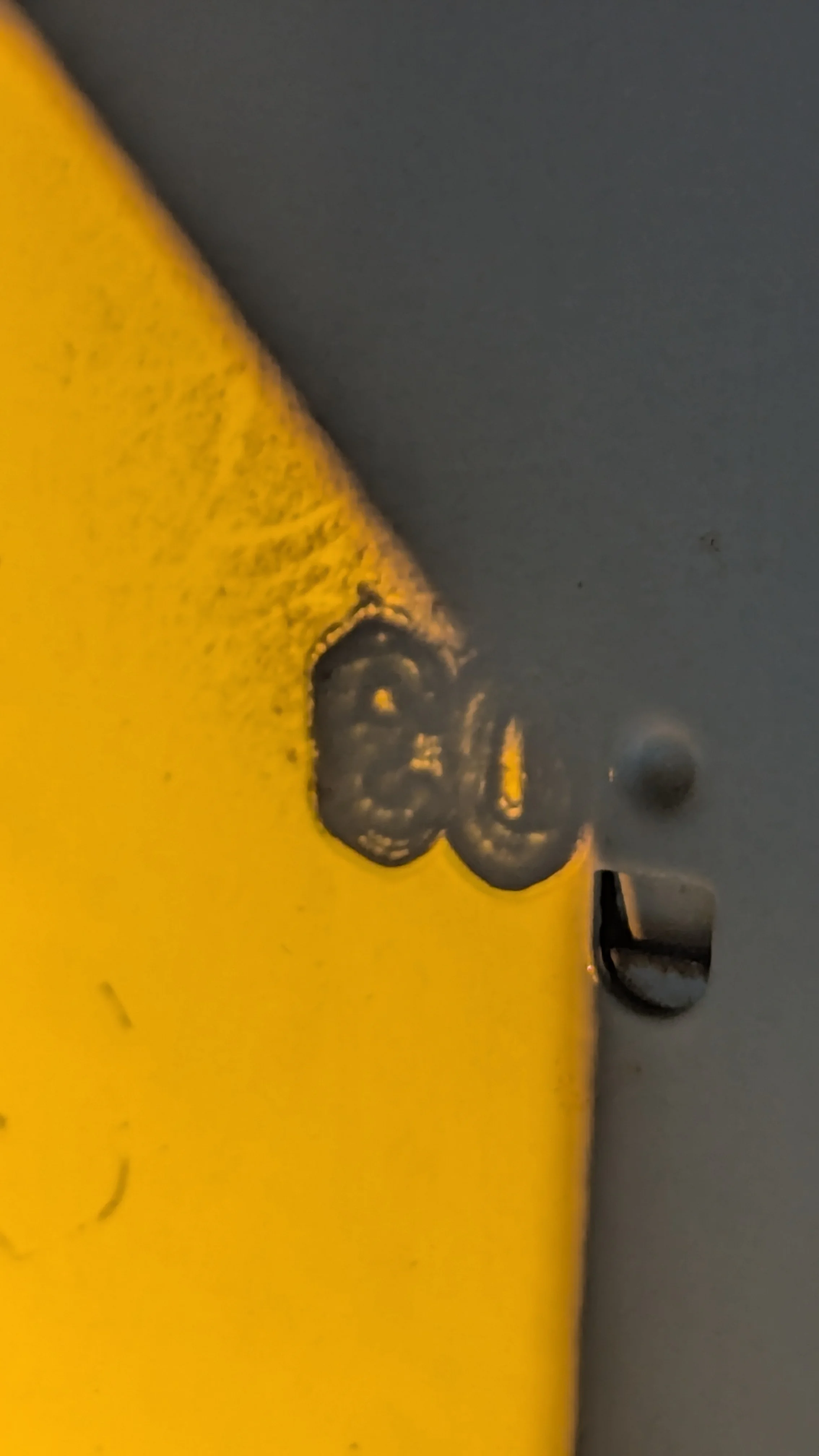 Skiagraph — image 23 of 40